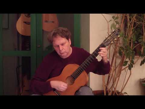 RCM Classical Guitar 2018 - Preparatory - Dutch Dance (Neusidler)