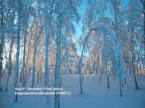 Voxy P - December (Y-bot Remix)[PHW011]