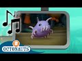 Octonauts Cute Sea Pigs And Others Cartoons For Kids Creature Reports