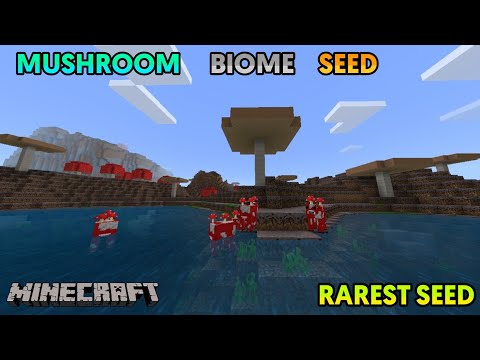 Best Seed For Mushroom Biome | Rarest Seed In Minecraft | Seed For Minecraft Pocket Edition |#shorts