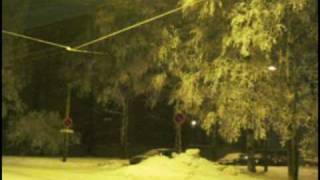 The Bear Quartet - Carry Your Weight (Unofficial)