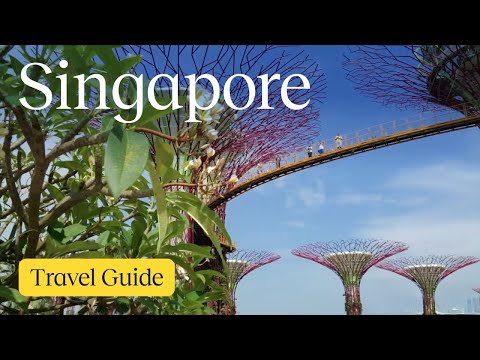 麻雀最小，五臟俱全！帶你遊覽新加坡！(Singapore Vacation Travel Guide)