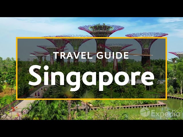 Video pronuncia di singapore in Italiano