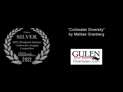 DPG/Wetpixel Masters 2022 Silver Video Winner – “Coldwater Diversity”