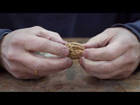 Forum Arthritis des Kiefergelenks Betrieb Bursitis Ellenbogen Video