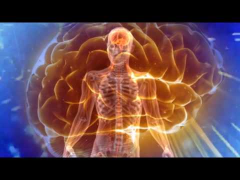 Video thumbnail for Brain Matter