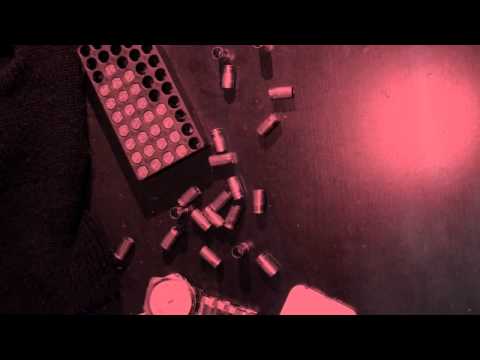 YOUNG TRAVIS X LUV SQUAD