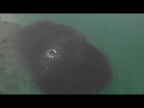 Torres Strait Adventures - St Pauls Community, Moa Island