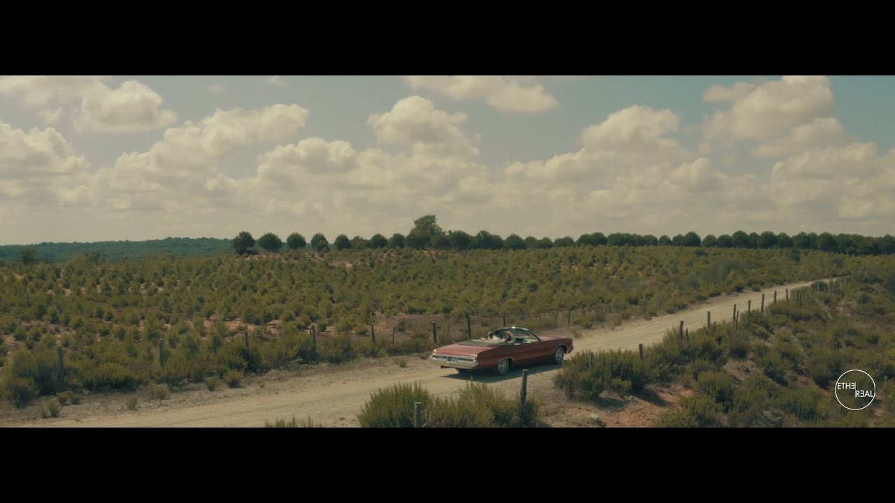 Web Blouse — Fashion Film