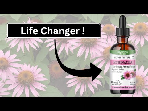 Echinacea Benefits - Why Echinacea Is A Must For Your Health