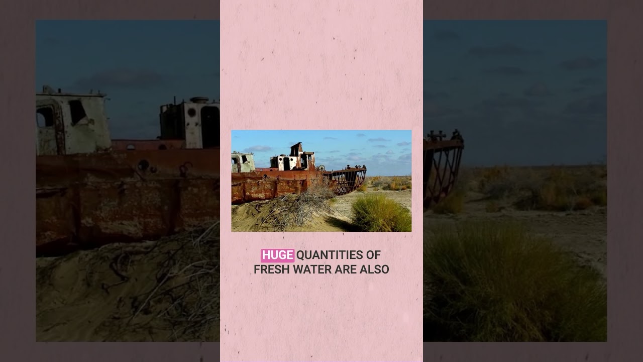 🚨Desertification Alert:Fast fashion isn't just about trends—it's turning vibrant lands into deserts!