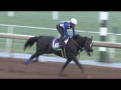 D'Amato Not Concerned with Midnight Storm's Mile Post