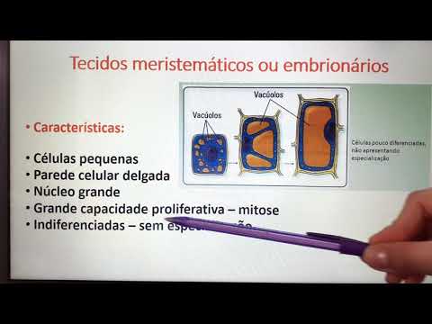 Histologia e Organologia vegetal
