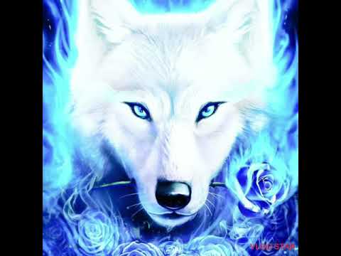 Carneyval - High Hopes the Original music video