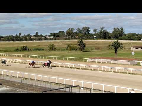 Rey Victorioso y una nueva victoria