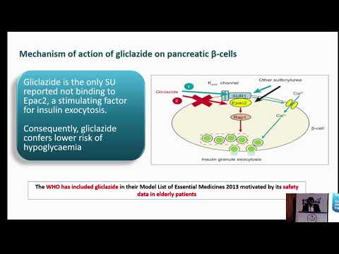 Glucocentricity and role of modern SU Gliclazide in current Diabetes management Algorithm