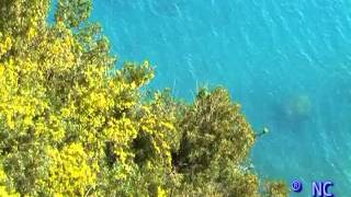 preview picture of video 'Primavera a Cittadella del Capo CS  di Nello cretella'