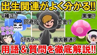 【New 電波人間のRPG FREE！】「個体・出生」関連はこれでOK⁉SPカラー、最大最速、しゅっせいダケなど徹底解説‼【電波人間スマホ版】【初心者必見・質問回答】