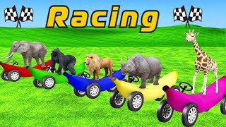 Animals Banana Car Race Wild Animals Animation Cartoons For Kids | Funny Animals  Car Race Game