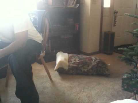 Akeela afriad of box 2.MOV