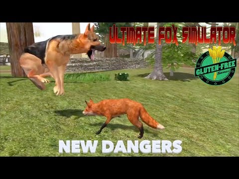 Ultimate Fox Simulator-By Gluten Free Games-IOS/Android - YouTube