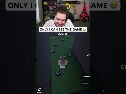 Roblox BUT Only I Can See The Game…