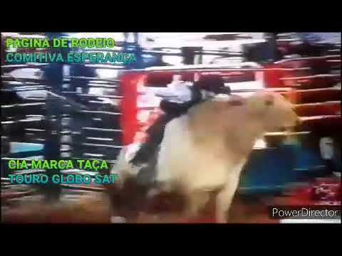 FABRICIO ALVES V&TOURO GLOBO SAT  CIA MARCA TAÇA