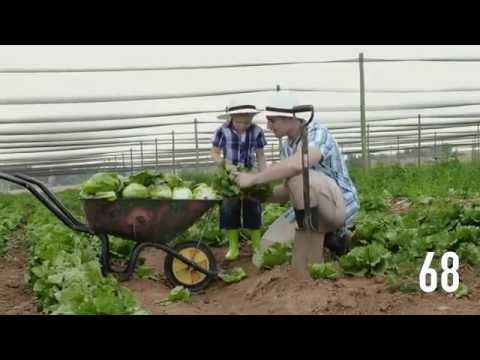 70 Years of Development in 70 seconds  Sustainable Development