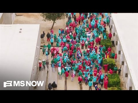 'Professional liars': Immigration Attorney BLASTS Trump admin.