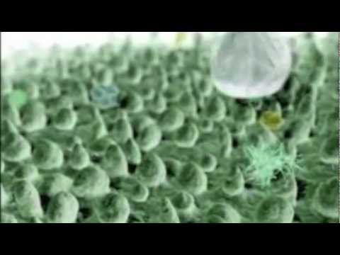 Lotus effect with CeNano