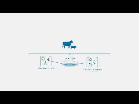 REP-BIOTECH ITN ScienceInMotion Series - ESR10