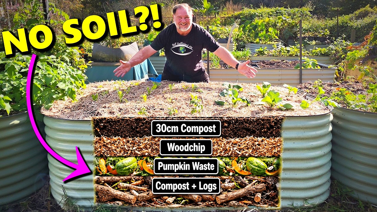 I Filled This Raised Garden Bed With NO SOIL… 2 Years Later