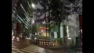 Scott Walker - I Don&#39;t Want To Hear It Anymore