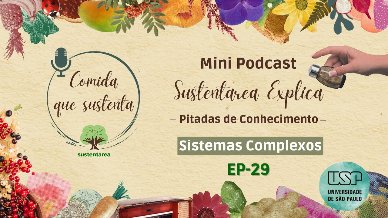 Sustentarea Explica | S | Sistemas Complexos