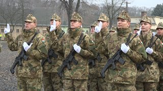 A hazára esküdtek fel