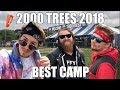 THIS FESTIVAL HAS A VERY BRIGHT FUTURE 2000 Trees 2018