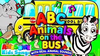 ABC Animals on the Bus Song! Real Animal Sounds & Alphabet Fun | #AwesomeKidsSongs