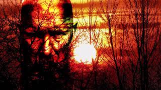 PJ Harvey - Who will love me now , lyrics