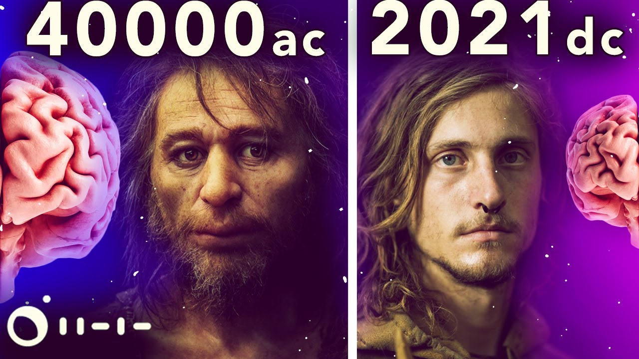 por que nosso CÉREBRO está ENCOLHENDO?