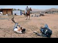 Man On Horse Ropes And Drags My Partner