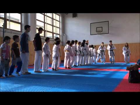 Chceme elektronický bodovací systém DAEDO