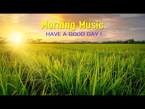 BEAUTIFUL MORNING MUSIC - Happy & Positive Energy - Music When You Want To Feel Motivated, Relaxed