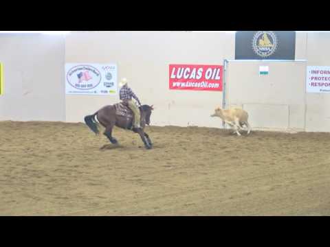 Smokin Smart Cat Cow Work