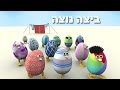 ביצה נוצה הדבורה