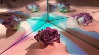 SCARED by Lynne[a]  |  Official Music Video