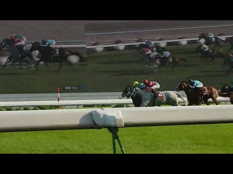 第52回京都大賞典2017/武豊騎手　スマートレイアーで勝利。同一重賞9勝目はすごい(2017.10.09)