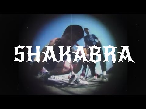 [SOLD] Beastie Boys x Boom Bap x Gramatik Type Beat - "Shakabra"
