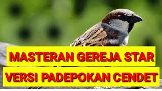 Download lagu MASTERAN GEREJA STAR VERSI PADEPOKAN CENDET Rahasi... mp3