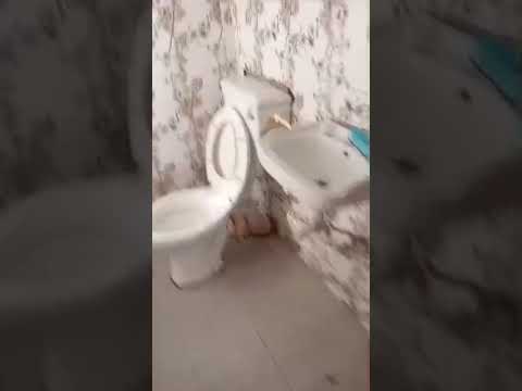 3-Bedroom Flat to Let Off Agric Road, Igando