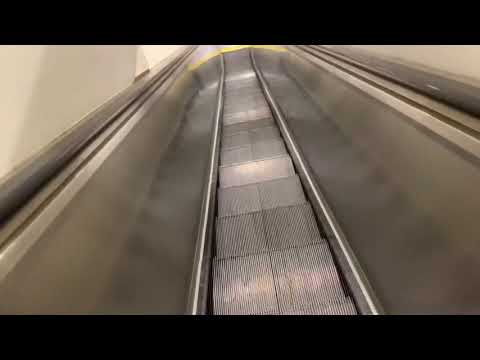 FINAL RIDE: OTIS Escalators at Macy’s at Water Tower Place - Chicago IL
